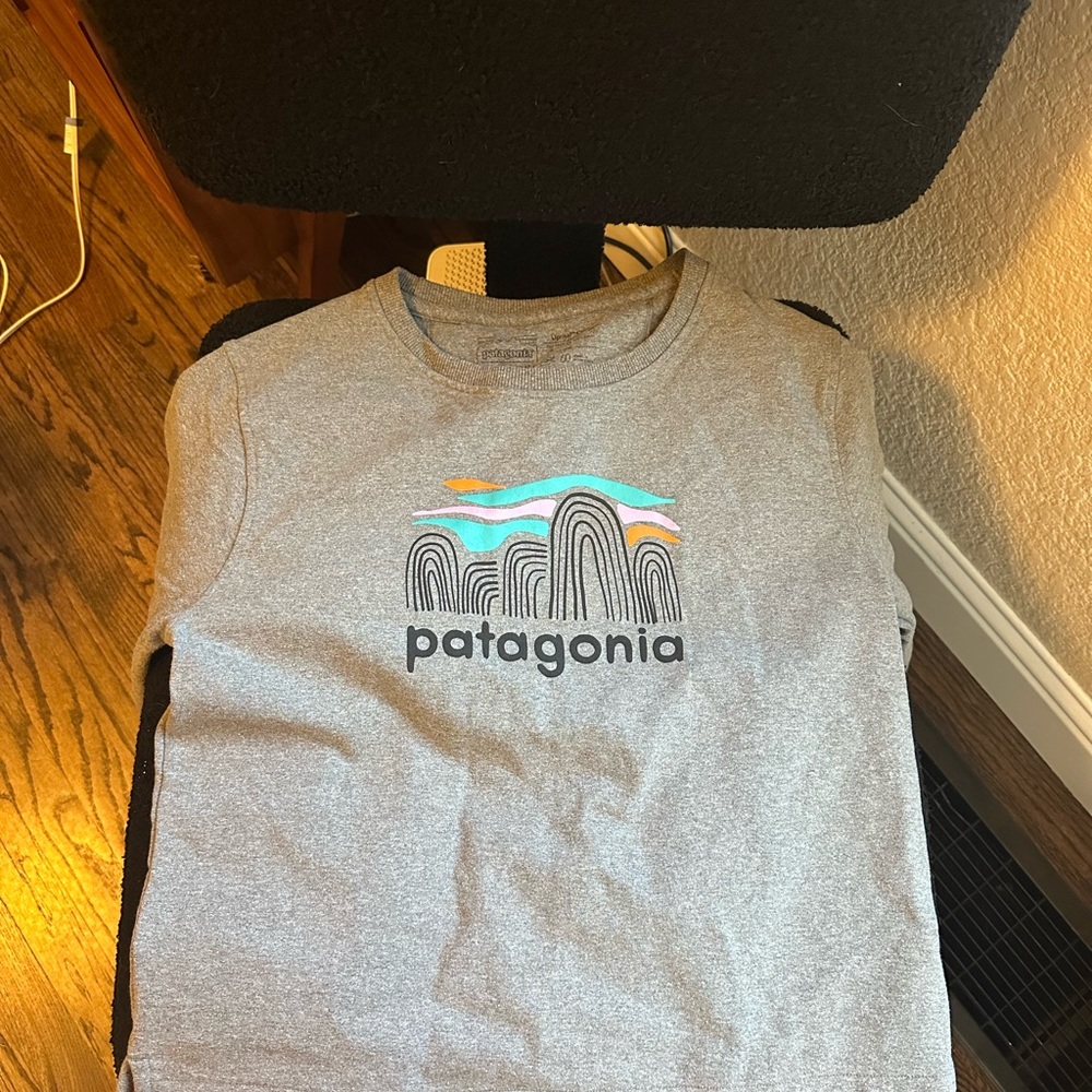 Patagonia Gray Graphic crewneck size medium